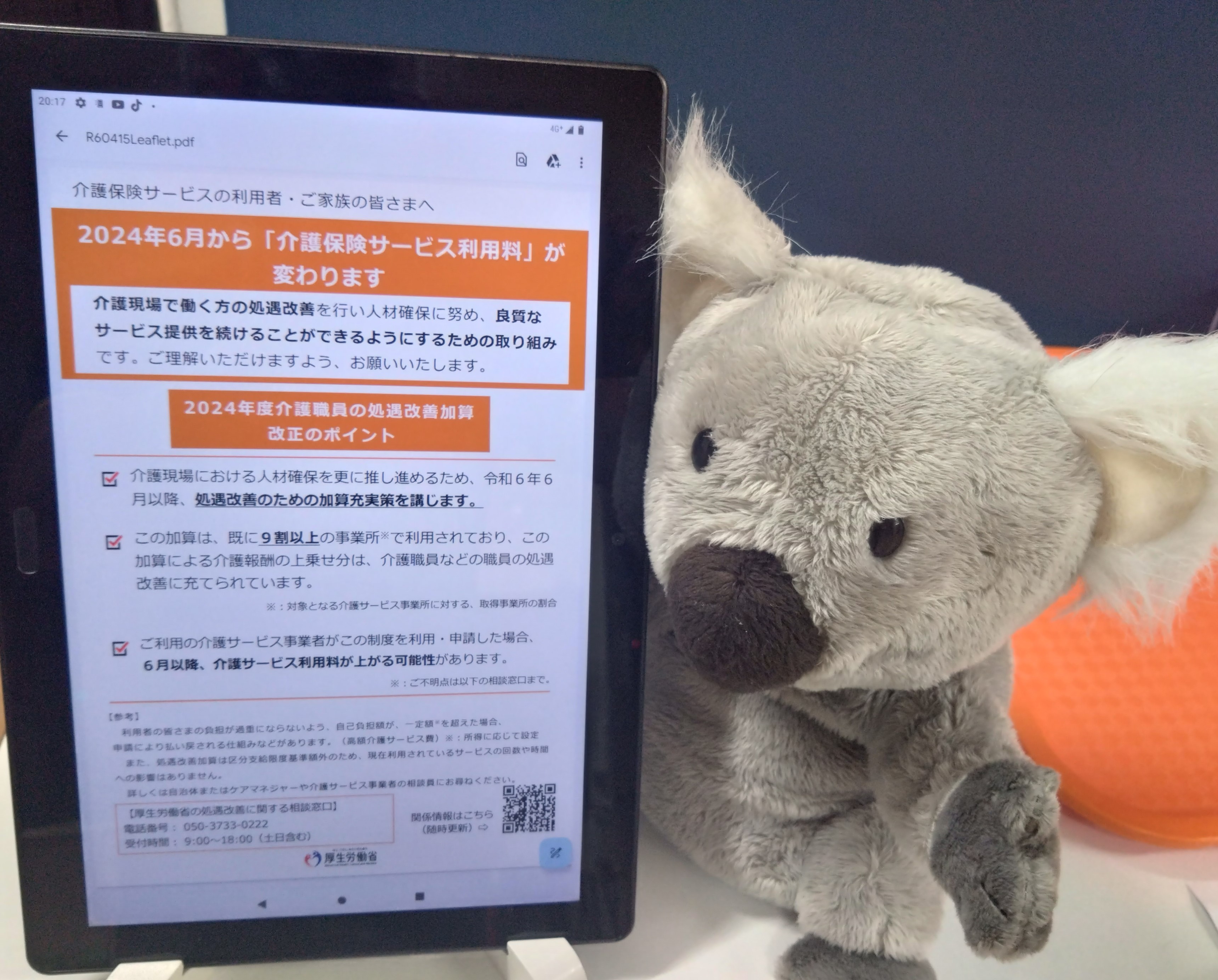 https://www.lets-club.com/koala/%EF%BC%92%EF%BC%90%EF%BC%92%EF%BC%94%E5 ...