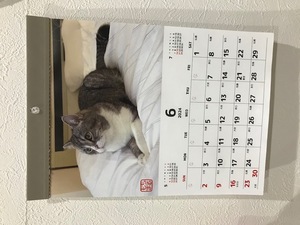 事業所内341.jpg